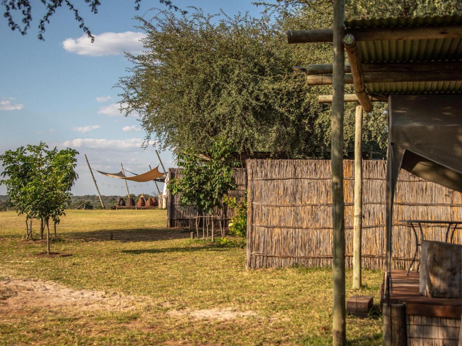 Kazondwe Camp And Lodge Kongola 部屋 写真